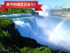 【人気のジェットブルー航空で行く！】ニューヨーク発 ナイアガラの滝 エクスプレス日帰り弾丸ツアー！