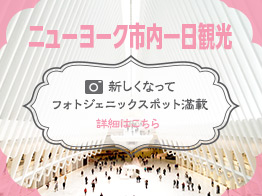 ニューヨーク１日市内観光