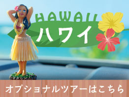 ハワイオプションツアー